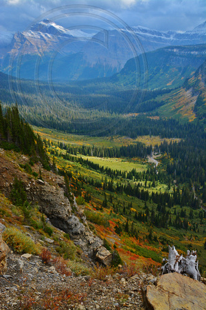 Glacier Park Fall Colors