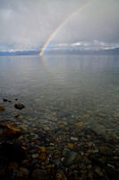 Flathaed Lake Rainbow