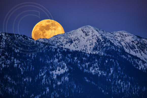 Montana Moonrise