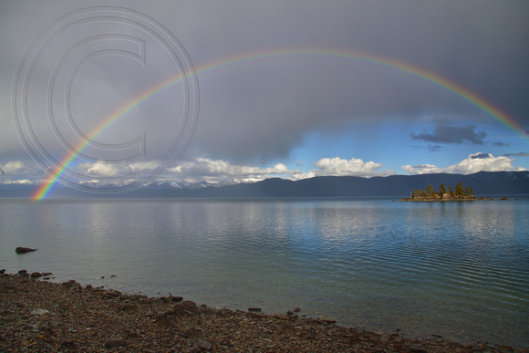 Flathead Lake Rainbow
