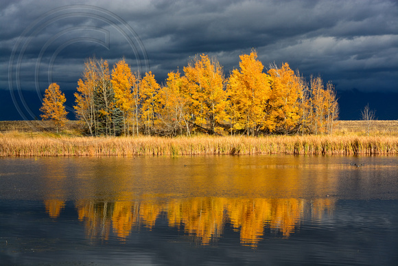 Flathead Valley Fall Colors