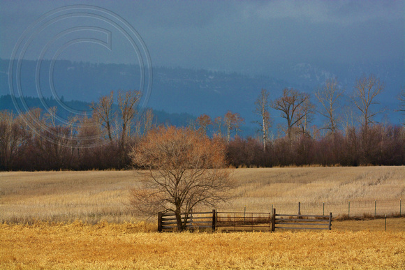 Flathead Valley-Approaching storm